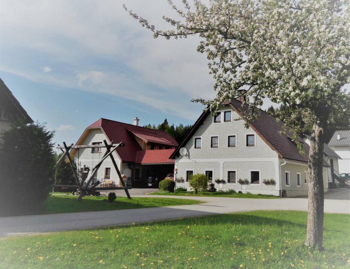 Apartament Biobauernhof Obereck Göstling an der Ybbs Zewnętrze zdjęcie