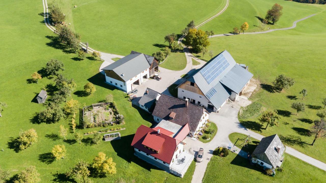 Apartament Biobauernhof Obereck Göstling an der Ybbs Zewnętrze zdjęcie