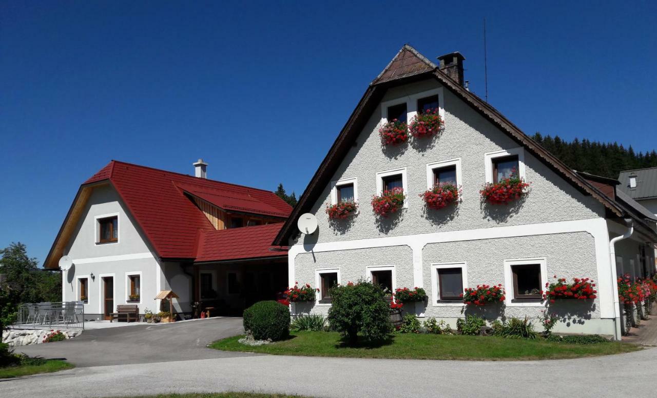 Apartament Biobauernhof Obereck Göstling an der Ybbs Zewnętrze zdjęcie